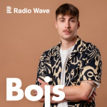 Obrázek podcastu Bojs