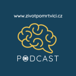 Obrázek podcastu Život po mrtvici