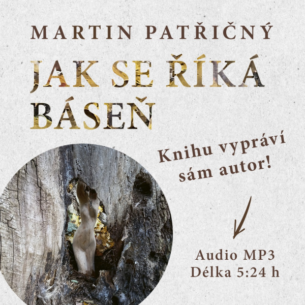 Obrázek podcastu Jak se říká báseň