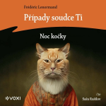 Obrázek podcastu Případy soudce Ti: Noc kočky
