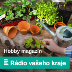 Obrázek podcastu Hobby magazín