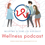 Obrázek podcastu Wellness podcast