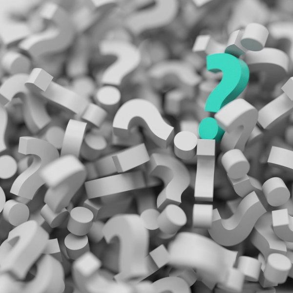 Obrázek epizody I během zimy je třeba některé rostliny na zahradě zalévat. Vánoční stromek v kontejneru obvykle nepřežije