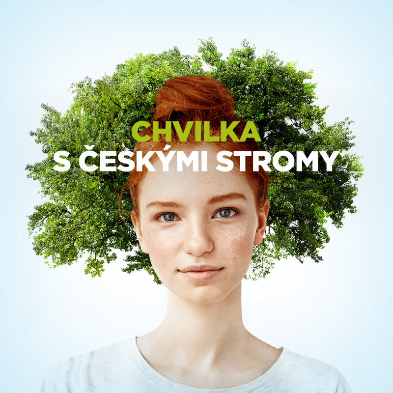 Obrázek epizody Stromy jsou důležitým pomocníkem v boji proti suchu, horku a zhoršujícímu se klimatu