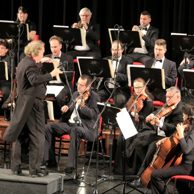 Obrázek epizody Vladimír Holeš, manažer Filharmonie Gustava Mahlera | Podcasty Kraje Vysočina