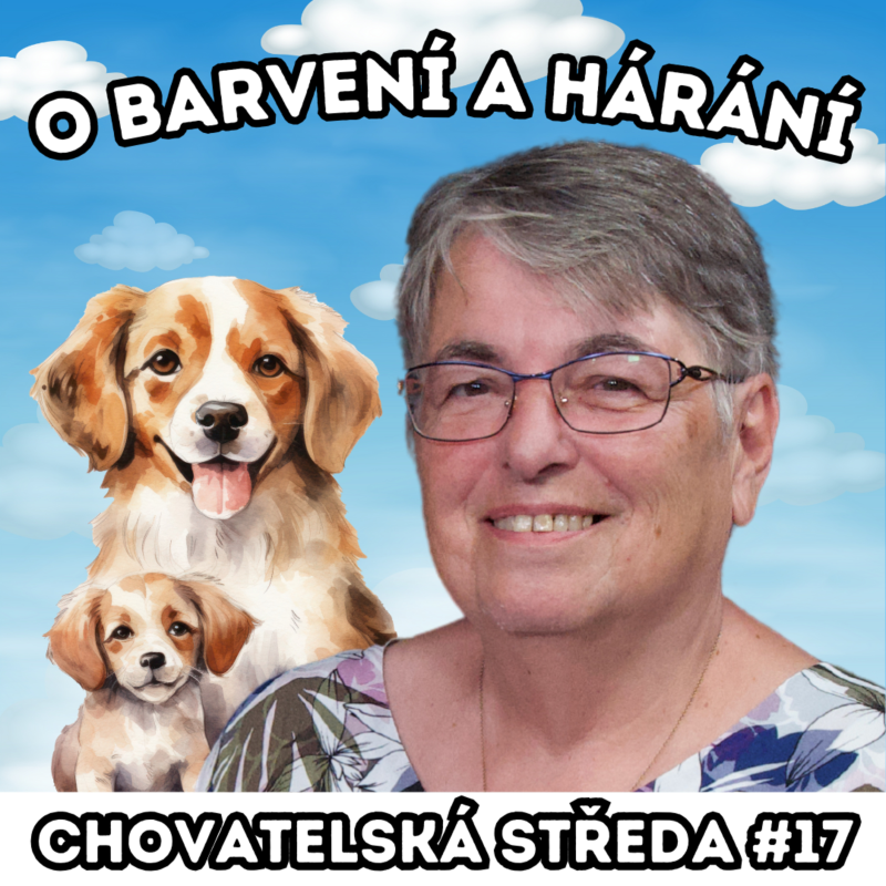 Obrázek epizody 🐩 O barvení a hárání 🐩 | Chovatelská středa #17