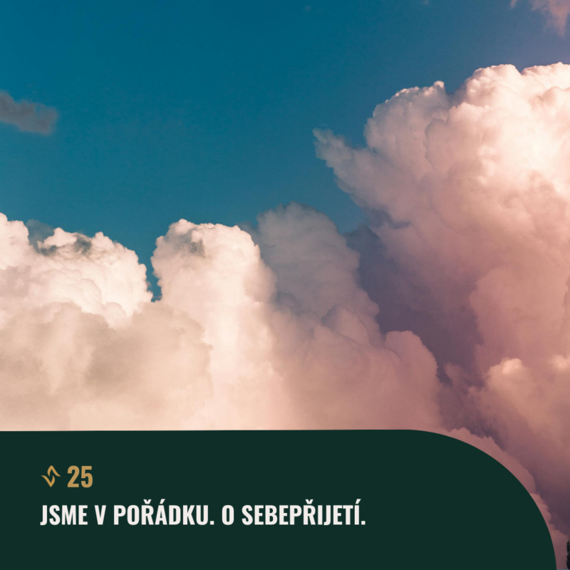 Obrázek epizody #25 Jsme v pořádku. O sebepřijetí.