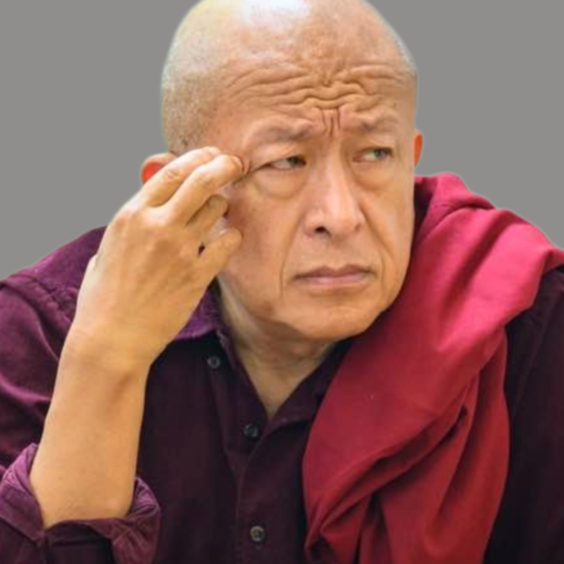Obrázek epizody Karma není žádný osud ani žádná forma trestu - Dzongsar Jamyang Khyentse Rinpočhe