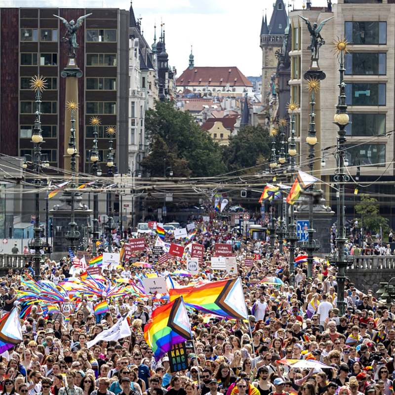 Obrázek epizody Ve volbách se rozhodne také o rétorice vůči queer lidem. S SPD či Stačilo! ve vládě by byla mnohem agresivnější