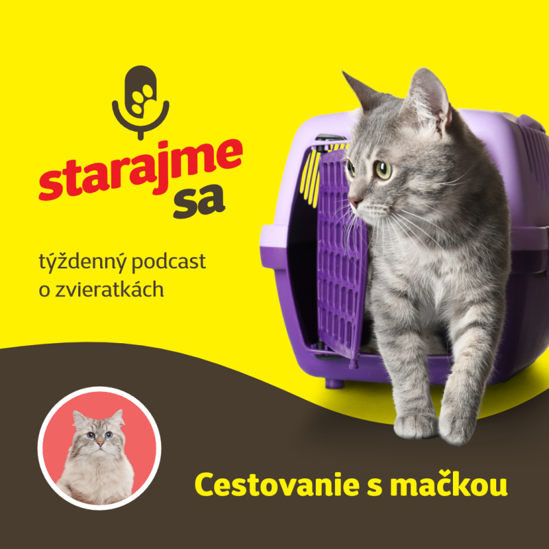 Obrázek epizody Mačky: Cestovanie s mačkou