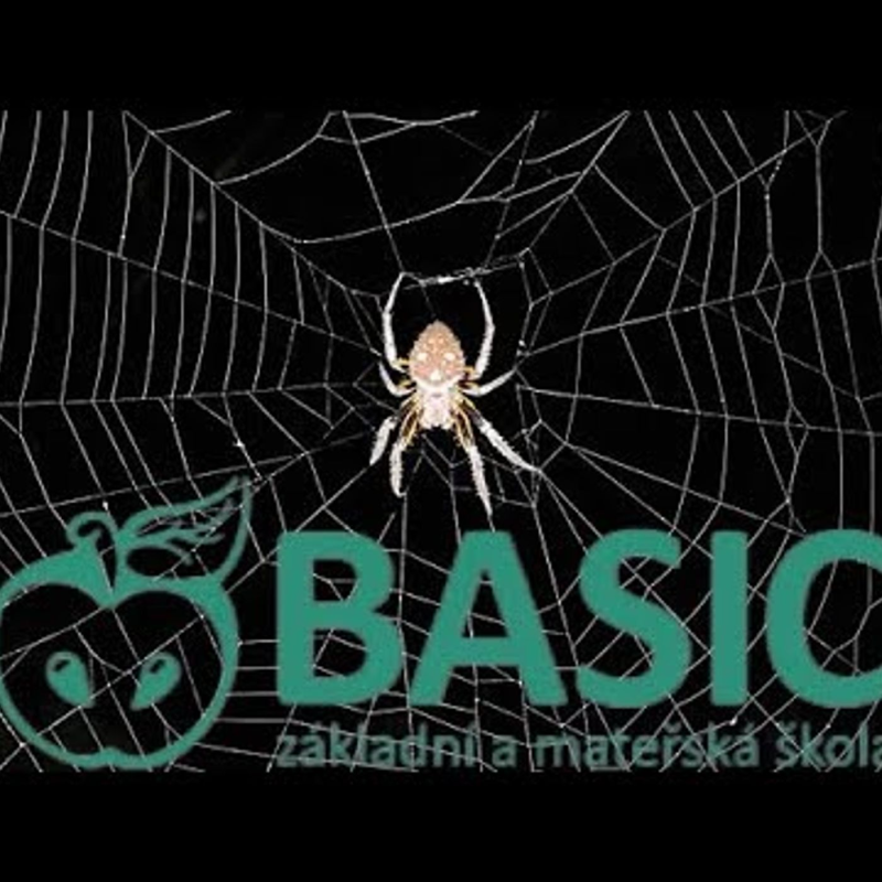 Obrázek epizody Scientologická škola Basic