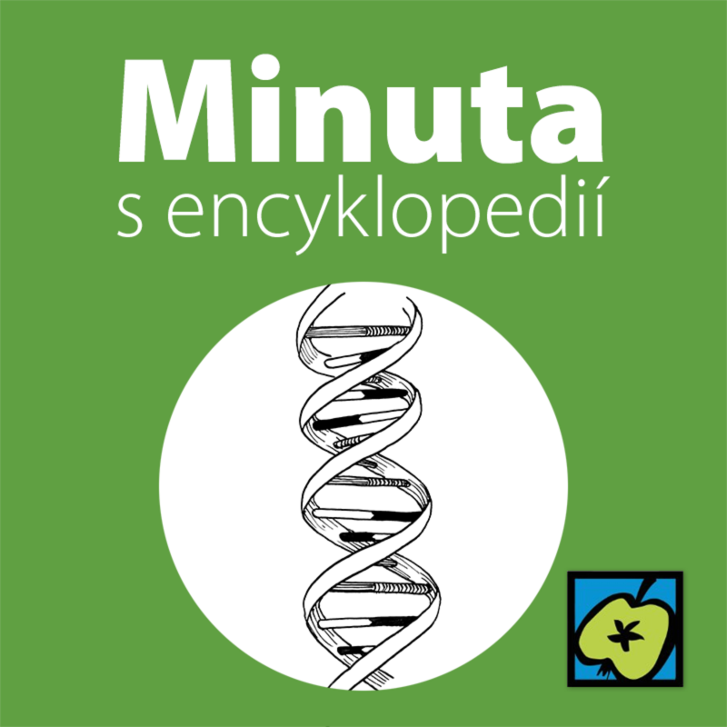 Obrázek epizody DNA