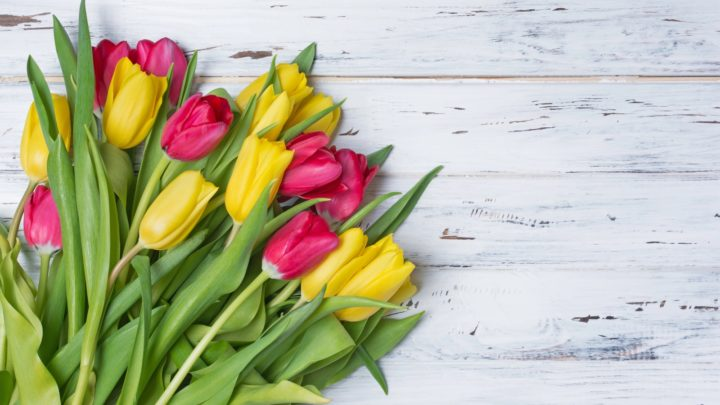 Obrázek epizody HOROSKOPY: Býci, dnes bude mít příležitost se projevit, ale můžete mít i sklony k přehánění