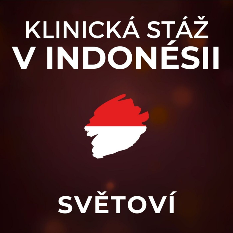 Obrázek epizody Klinická stáž v Indonésii: Ženy se lékaři vyhýbají. Na chodbách nemocnic žijí celé rodiny. | SVĚTOVÍ