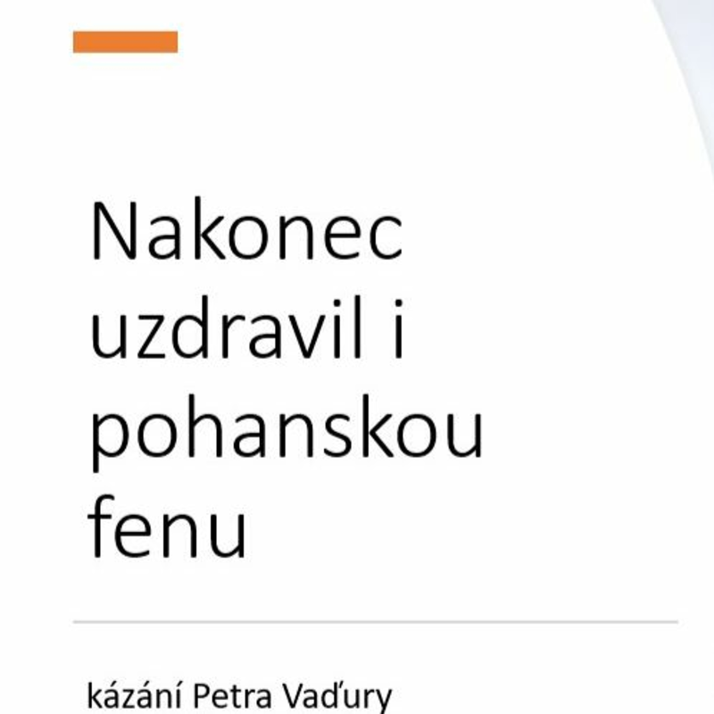 Obrázek epizody Nakonec uzdravil i pohanskou fenu - Petr Vaďura