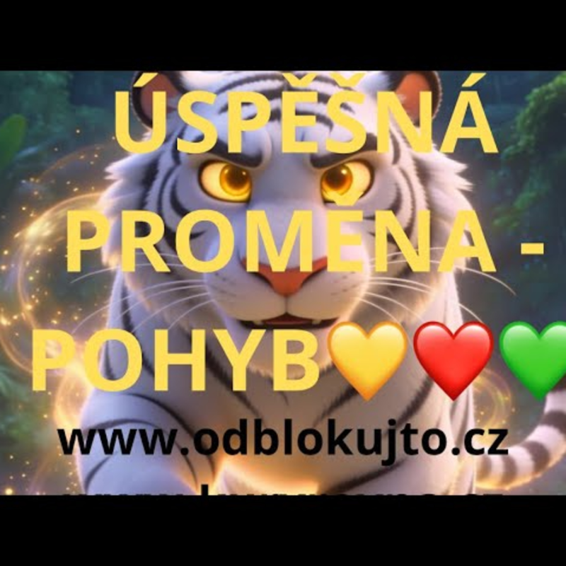 Obrázek epizody UVĚDOMNĚNÍ KTERÉ TĚ POSUNE Z MÍSTA NAPLNĚNÍ ÚSPĚŠNÁ PROMĚNA 💛❤️💚🌟