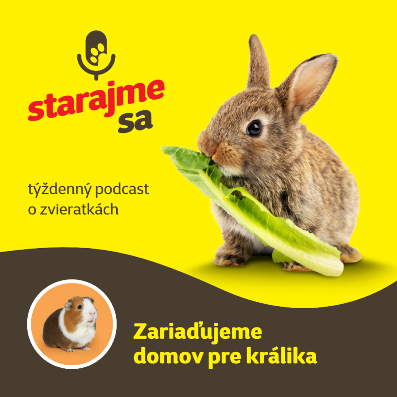 Obrázek epizody Drobné cicavce: Zariaďujeme domov pre králika