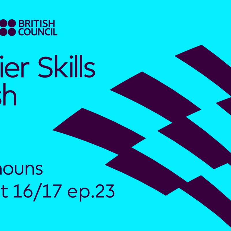 Obrázek epizody Premier Skills English Podcast - Group nouns 16/17 ep.23