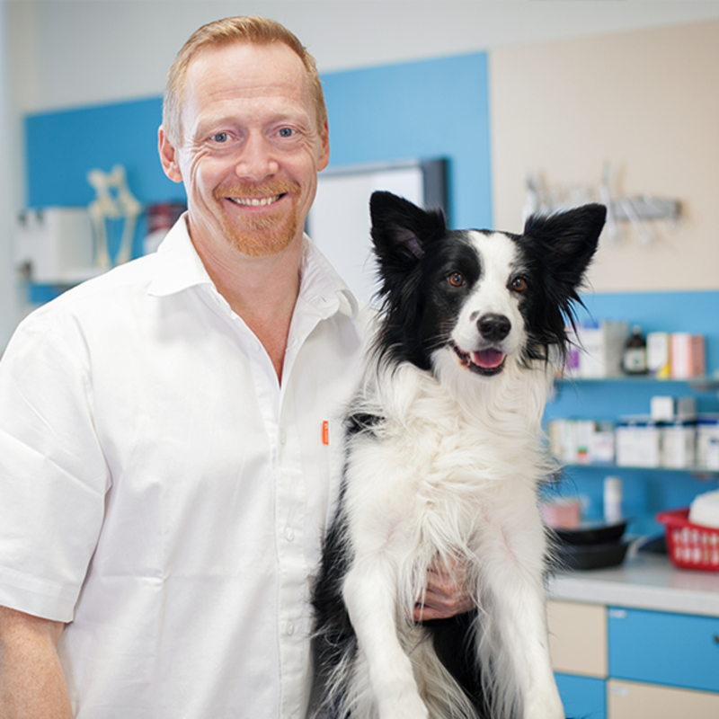 Obrázek epizody Doktor Lukáš Duchek o rakovině u chlupáčů