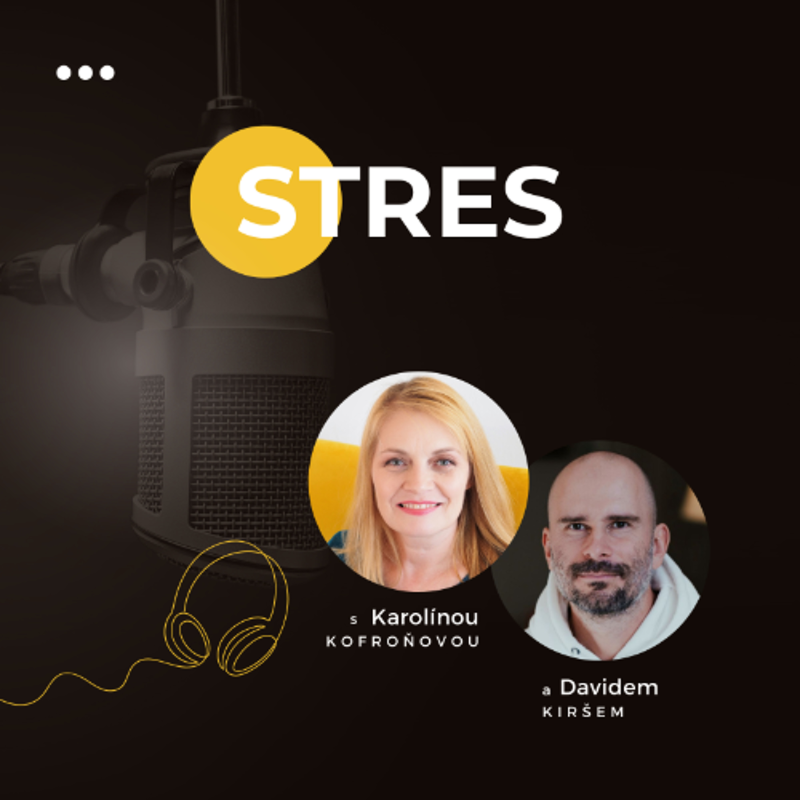 Obrázek epizody STRES | Jak si zachovat klid ve světě plném tlaku #70