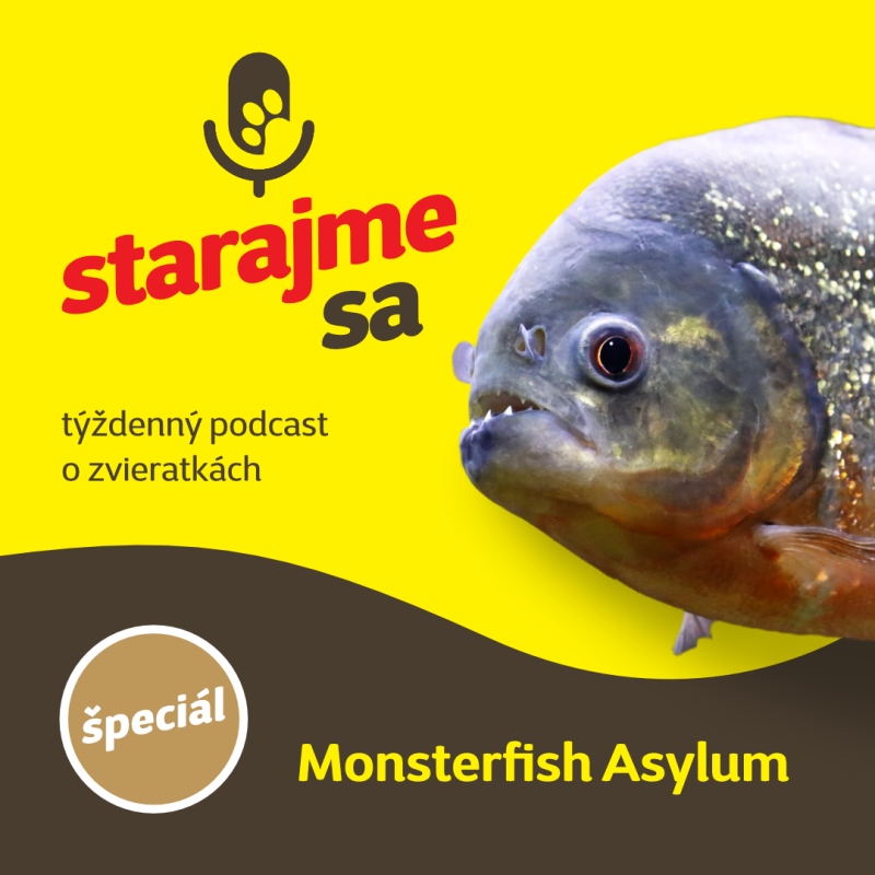 Obrázek epizody Špeciál: Monsterfish Asylum