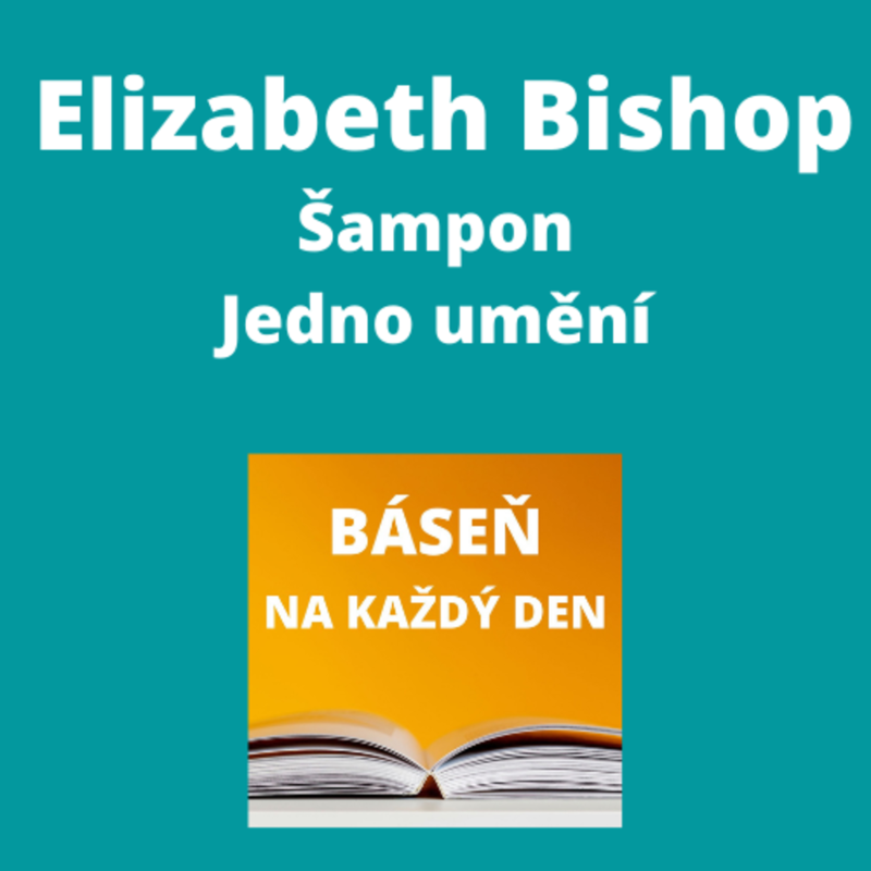Obrázek epizody Elizabeth Bishop - Šampon + Jedno umění