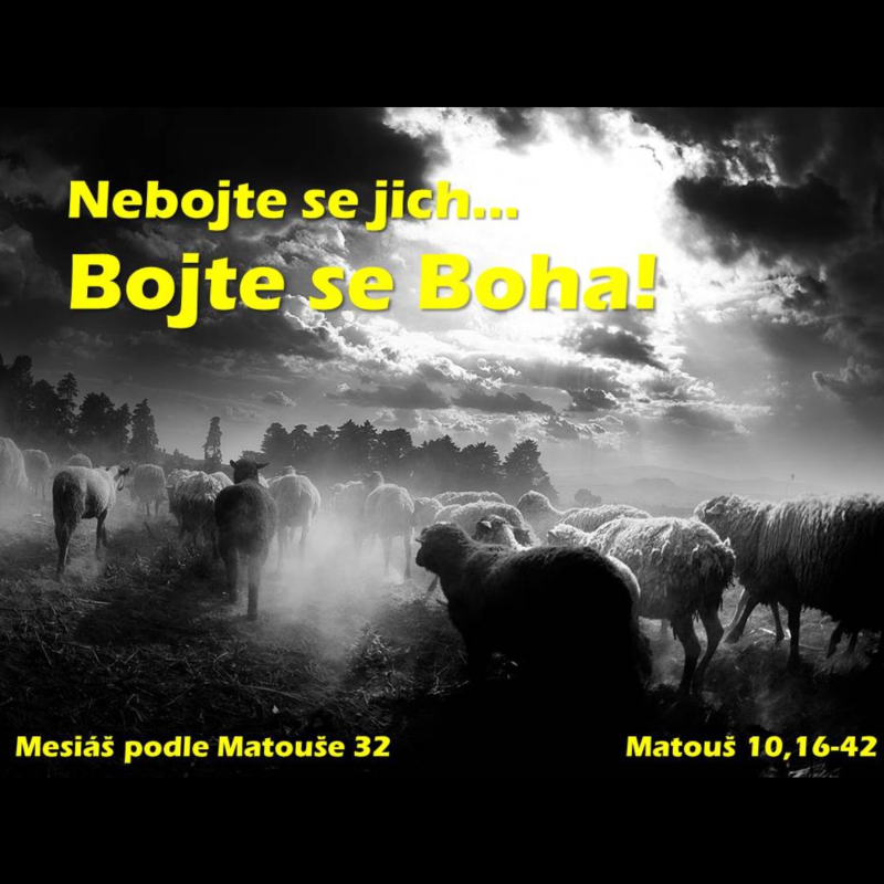 Obrázek epizody Mesiáš podle Matouše 32 - Nebojte se jich... bojte se Boha! - Bohuslav Wojnar (12.5.2013)