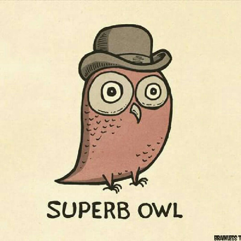 Obrázek epizody Pastorazor