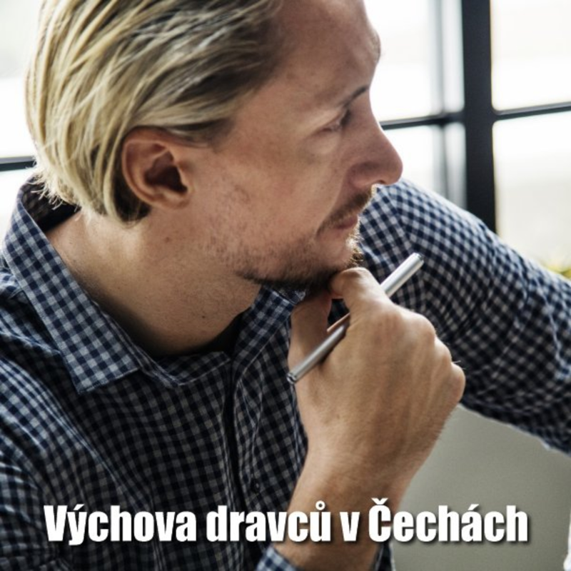 Obrázek epizody Blog 9 ... Výchova dravců v Čechách ... povídka s otevřeným koncem o psychické manipulaci v pracovním prostředí