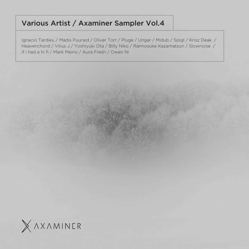 Obrázek epizody Spigl - 16126 ( V/A - Axaminer Sampler vol.4  - axa016digi )