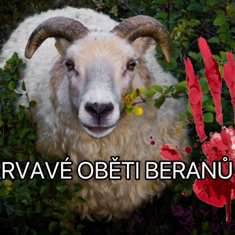 Obrázek epizody Burjatský šamanismus + uniklá nahrávka Radka Wolfa