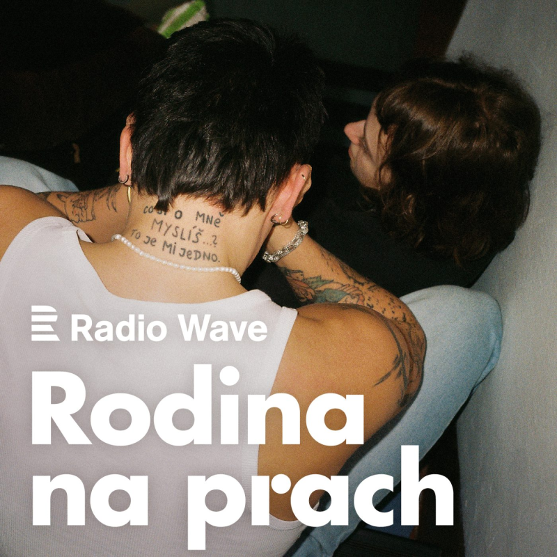 Obrázek epizody Rodina na prach: Ségra s bráchou nechápali, co dělám. Jaké jsou sourozenecké vztahy v dysfunkčních rodinách?