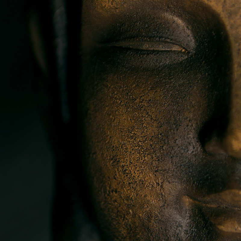 Obrázek epizody #102 — Is Buddhism True?