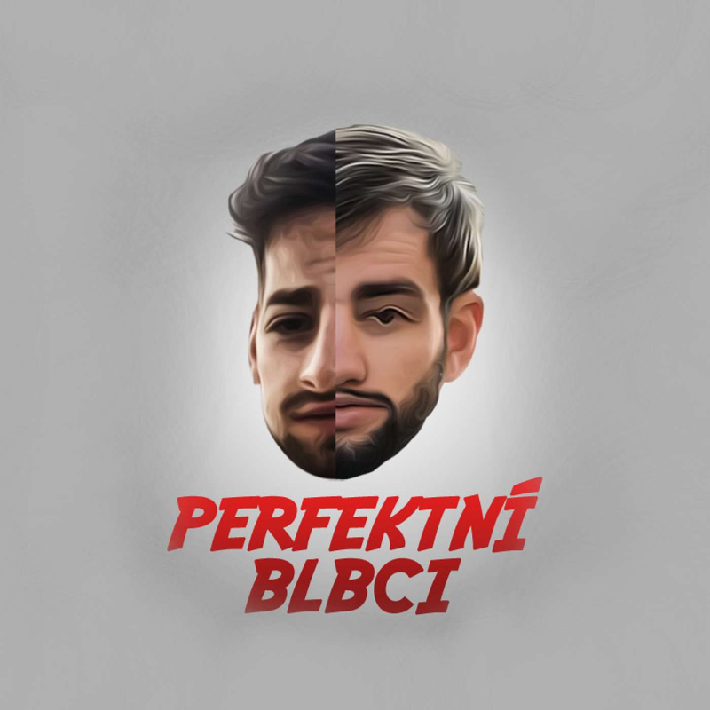 Obrázek epizody Perfektní blbci #9 - Dominik Stroukal - Dosáhne bitcoin hodnoty 1 milion dolarů?