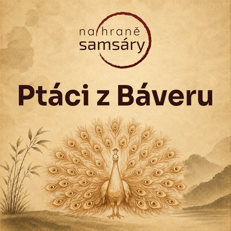 Obrázek epizody 12. Ptáci z Báveru