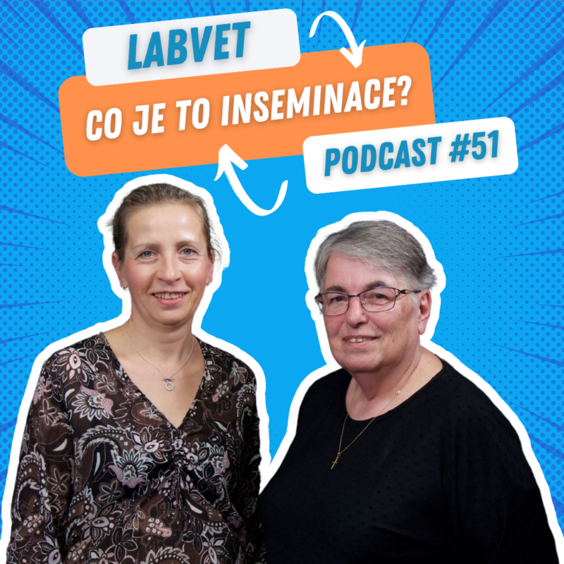 Obrázek epizody LABVET Podcast #51 - Co je to INSEMINACE?