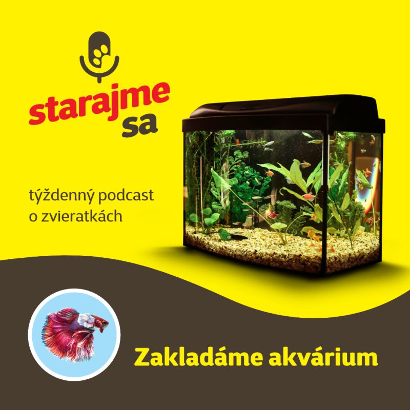 Obrázek epizody Starajme sa | Akvaristika: Zakladáme akvárium