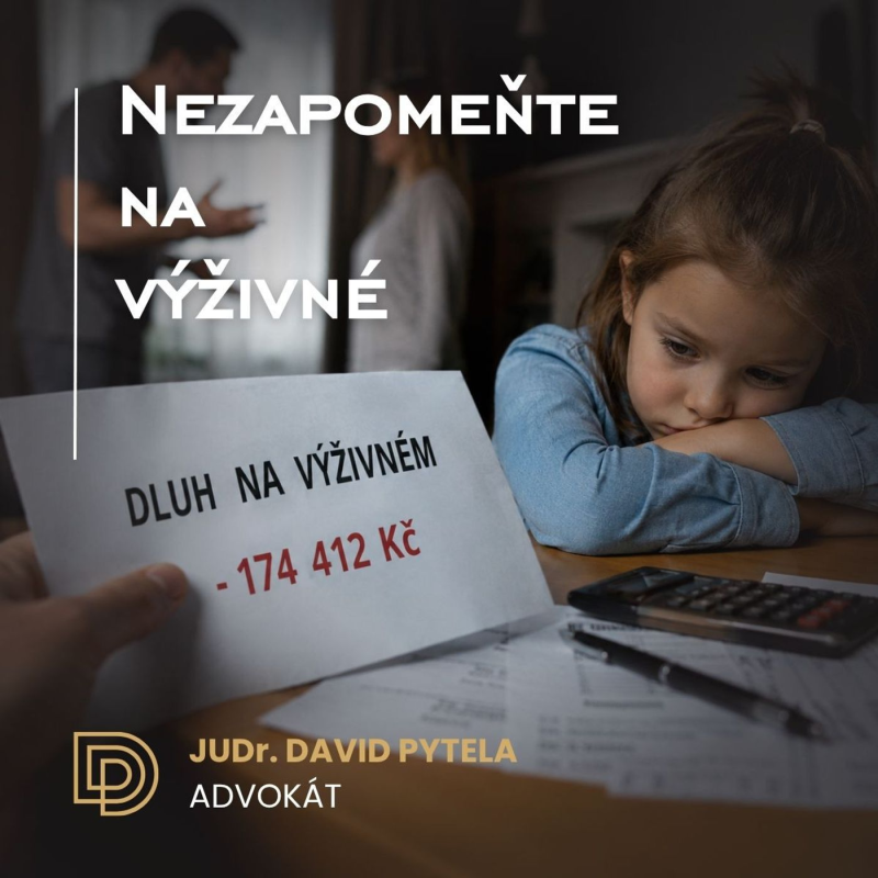 Obrázek epizody 104: Nezapomeňte na výživné