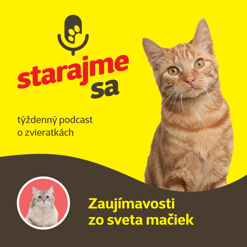 Obrázek epizody Mačky: Zaujímavosti zo sveta mačiek