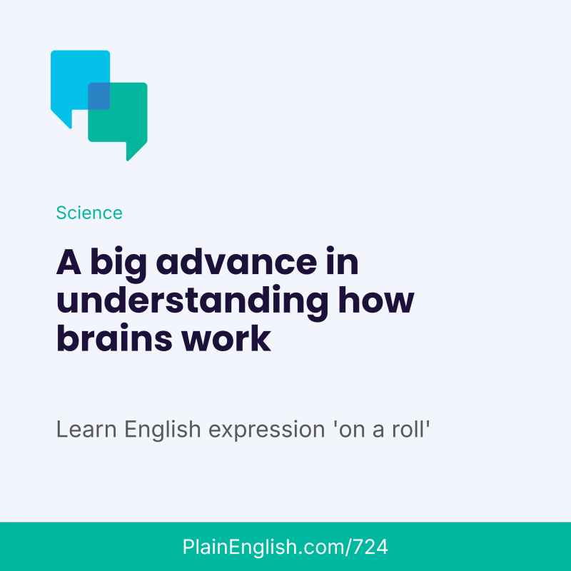 Obrázek epizody Scientists map a fly's entire brain (On a roll)