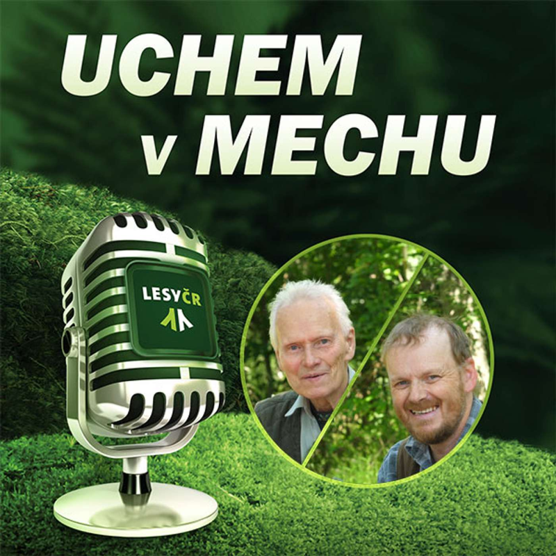 Obrázek epizody O Lesnickém parku Křivoklátsko s otcem a synem Pechovými