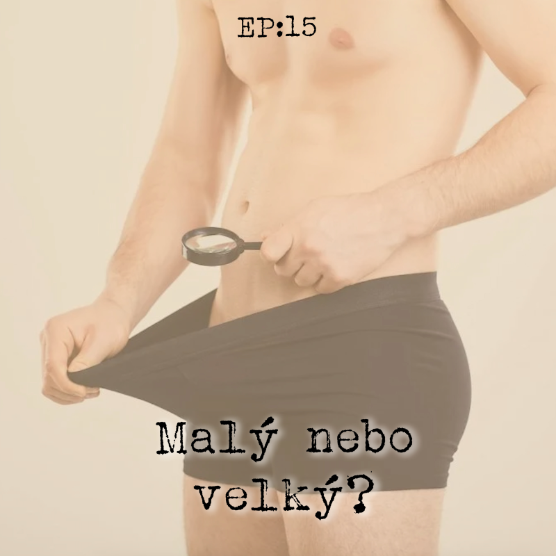 Obrázek epizody EP15: Malý nebo velký?