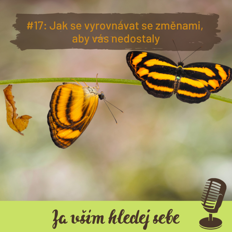 Obrázek epizody #17 Jak se vyrovnávat se změnami, aby vás nedostaly