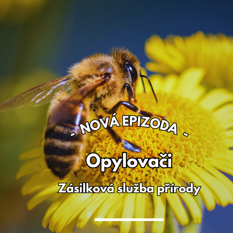 Obrázek epizody 16: Zásilková služba přírody