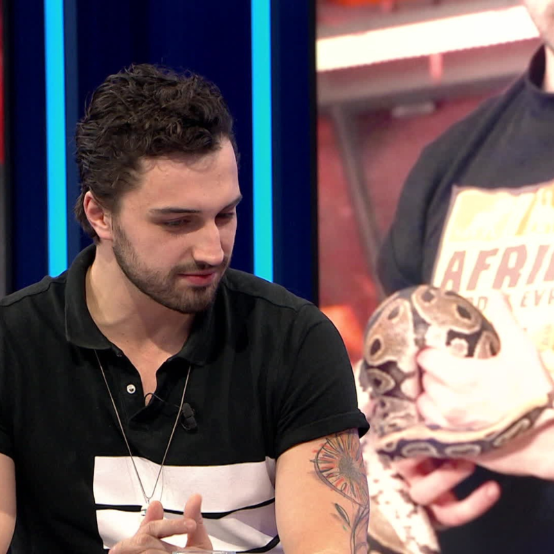 Obrázek epizody To nejlepší z Nového dne (1208)