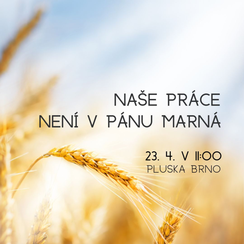 Obrázek epizody Naše práce není v Pánu marná