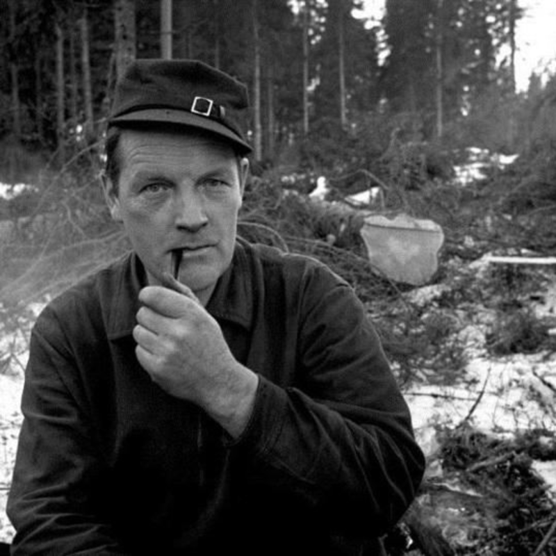 Obrázek epizody Týden s básníkem: Hans Børli - Dálka