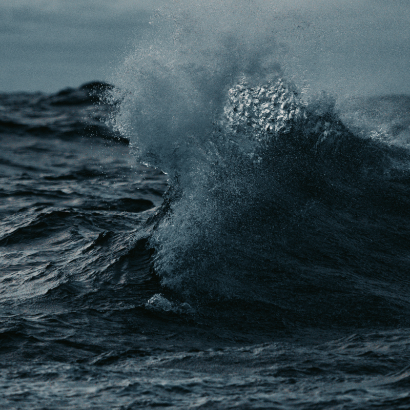 Obrázek epizody Podcast z knihovny GASK k výstavě Mysův Horn