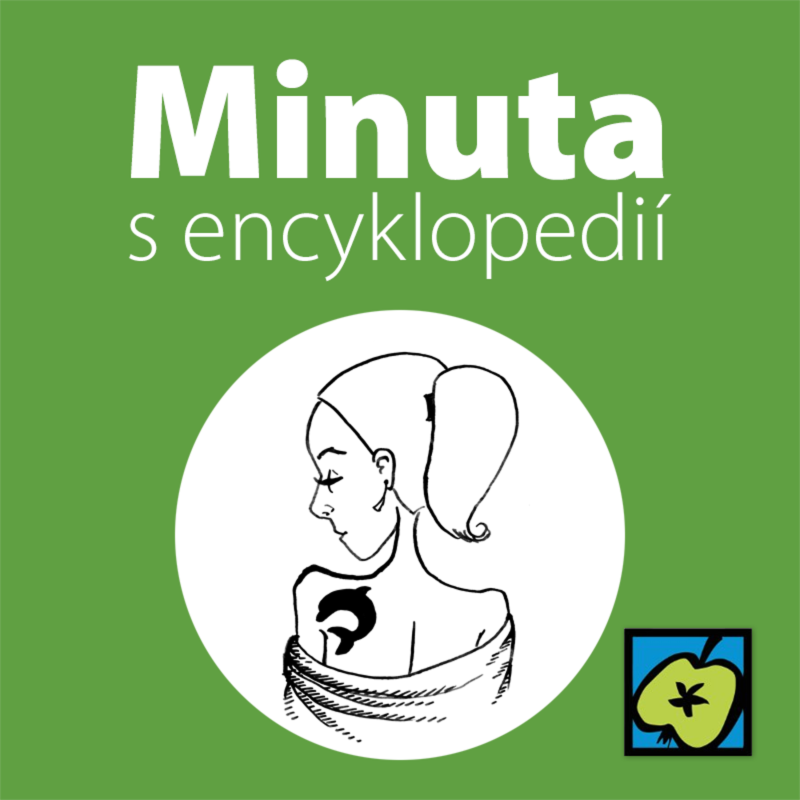 Obrázek epizody Delfíni