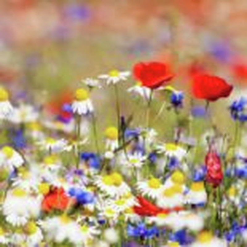 Obrázek epizody HOROSKOPY: Vodnáři, s partnerem naleznete společnou řeč. Večer byste měli strávit pouze spolu